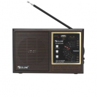 Радиоприёмник GOLON RX-9933UAR, FM/AM/SW/TV, USB/SD, MP3