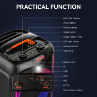 Колонка Sing-e ZQS6238, Bluetooth 5.3, 2 × 6,5", 3000 мА·ч, с микрофоном