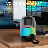 Колонка Sing-e ZQS-L02, Bluetooth 5.0, динамик 2", RGB, FM-радио