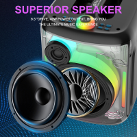 Колонка Sing-e ZQS6169, 40 Вт, Bluetooth 5.0, динамик 6,5", 3000 мА·ч, RGB
